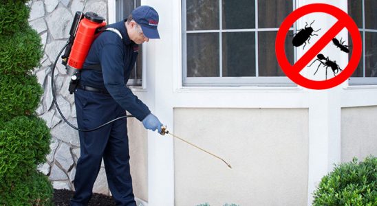 Finike Hamam Böceği İlaçlama böcek ilaçlama ve haşere kontrolü — ilaclama-tr.com